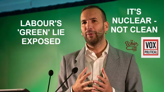 Zack Polanski - he has criticised Labour's plans for new nuclear power in Hartlepool.