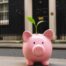 Are we finally seeing the green shoots of recovery from Austerity?